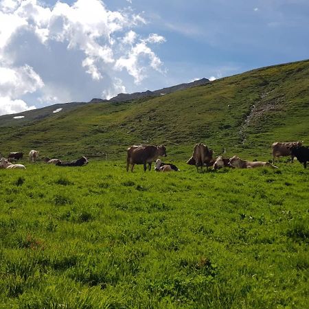 Agriturismo Malga Dell'Alpe Villa Valfurva Buitenkant foto