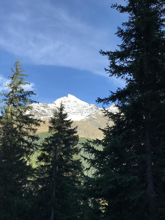 Agriturismo Malga Dell'Alpe Villa Valfurva Buitenkant foto