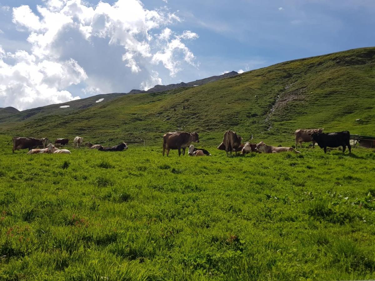 Agriturismo Malga Dell'Alpe Villa Valfurva Buitenkant foto